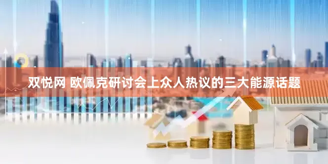 双悦网 欧佩克研讨会上众人热议的三大能源话题